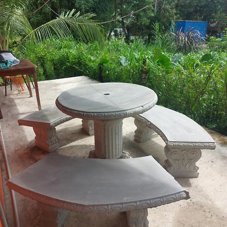 Cabana Para Vacacionar Rio Sarapiquí المظهر الخارجي الصورة