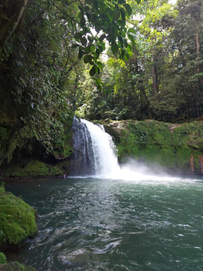 Cabana Para Vacacionar Rio Sarapiquí المظهر الخارجي الصورة